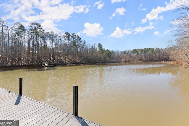 dock area with a water view