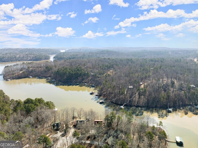 aerial view with a water view and a view of trees