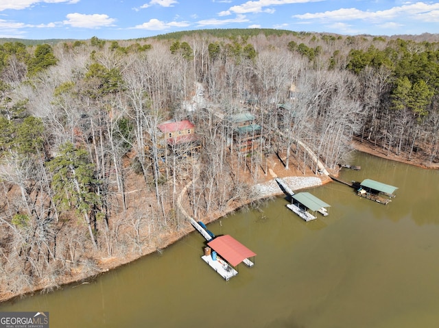 drone / aerial view featuring a water view and a view of trees