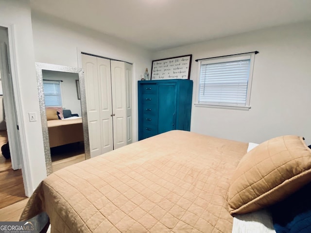 bedroom featuring a closet and wood finished floors