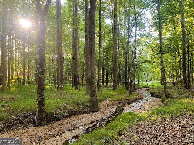 view of nature featuring a wooded view