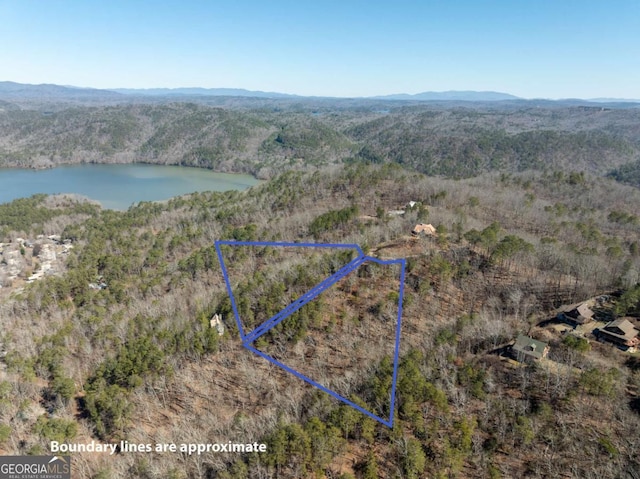 314 Oberlin Ct NE, Ranger GA, 30734 land for sale