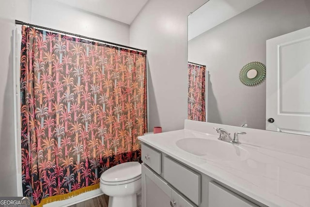 full bath featuring toilet, a shower with shower curtain, and vanity