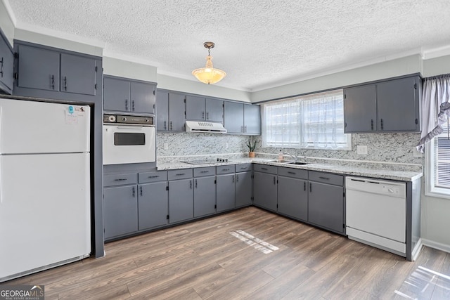 kitchen featuring gray cabinetry, a sink, wood finished floors, white appliances, and under cabinet range hood