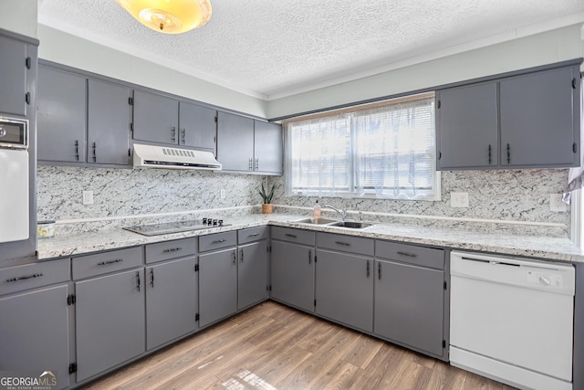 kitchen with dishwasher, black electric stovetop, gray cabinets, under cabinet range hood, and a sink