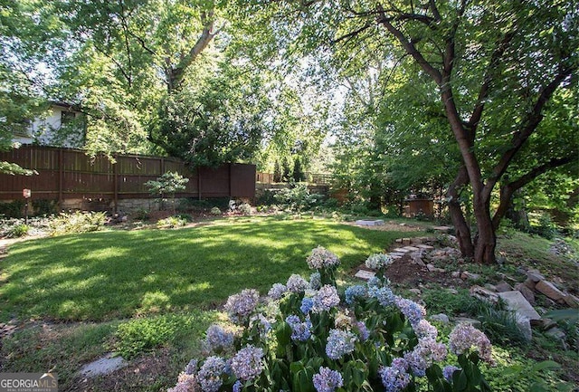 view of yard with fence