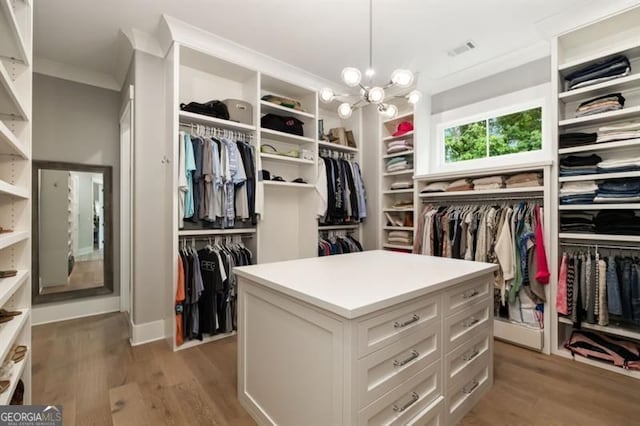 9370 Raldon Rd, Gainesville, GA 30506 - walk in closet with light wood-style floors and a chandelier