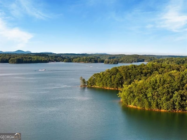 9370 Raldon Rd, Gainesville, GA 30506 - water view featuring a forest