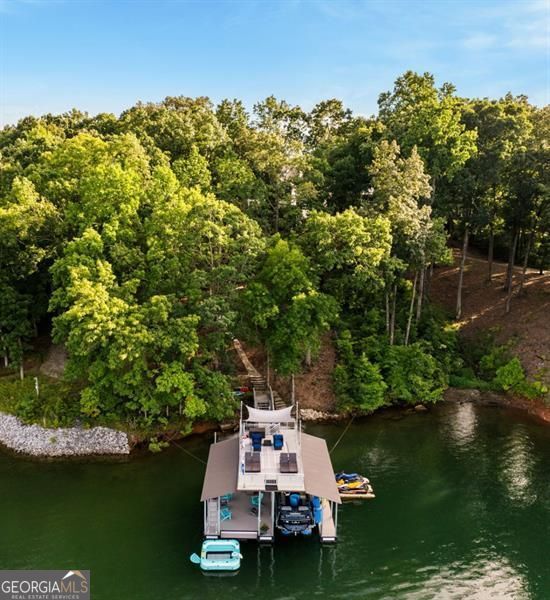 9370 Raldon Rd, Gainesville, GA 30506 - dock with a water view