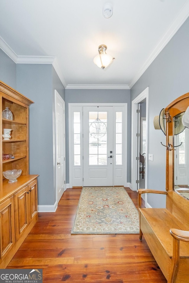 foyer featuring a healthy amount of sunlight, baseboards, and wood finished floors