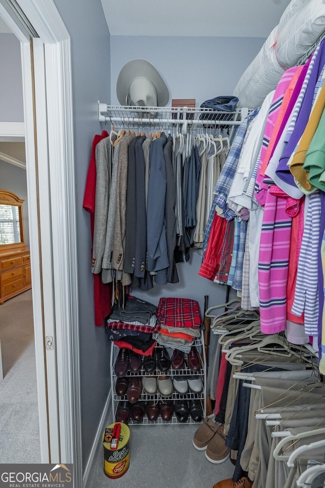 spacious closet featuring carpet floors