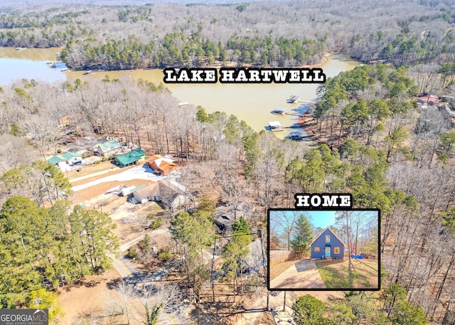 drone / aerial view featuring a water view and a view of trees