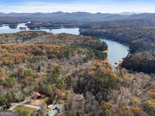 drone / aerial view featuring a water and mountain view and a view of trees