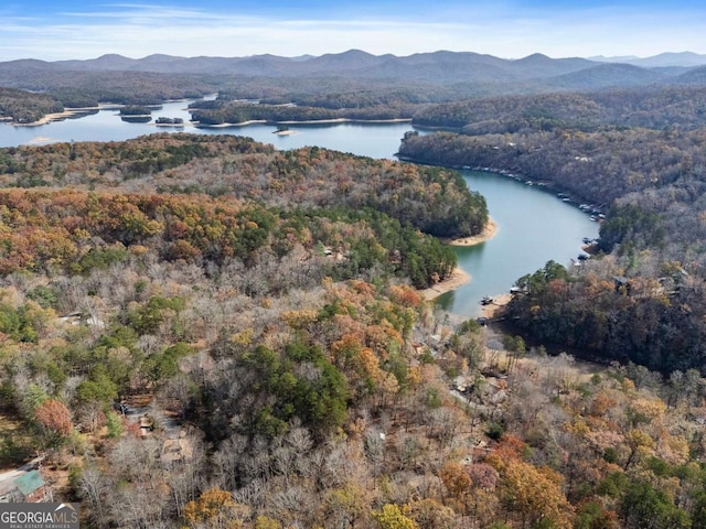 birds eye view of property with a wooded view and a water and mountain view