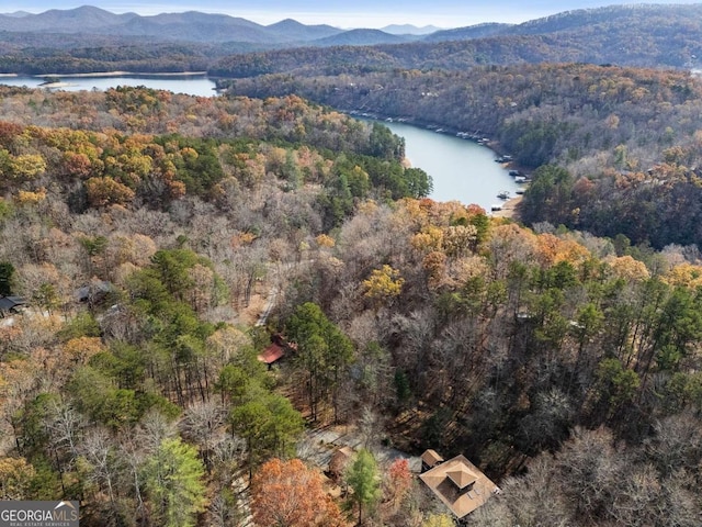 bird's eye view with a forest view and a water and mountain view