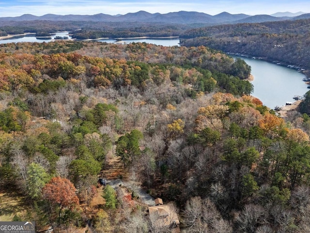 birds eye view of property with a forest view and a water and mountain view