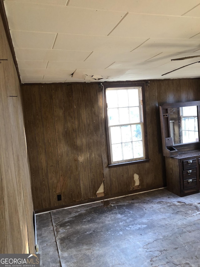 spare room with a wealth of natural light and wooden walls