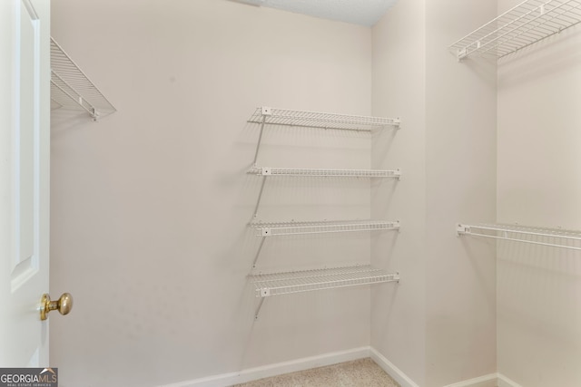 view of spacious closet