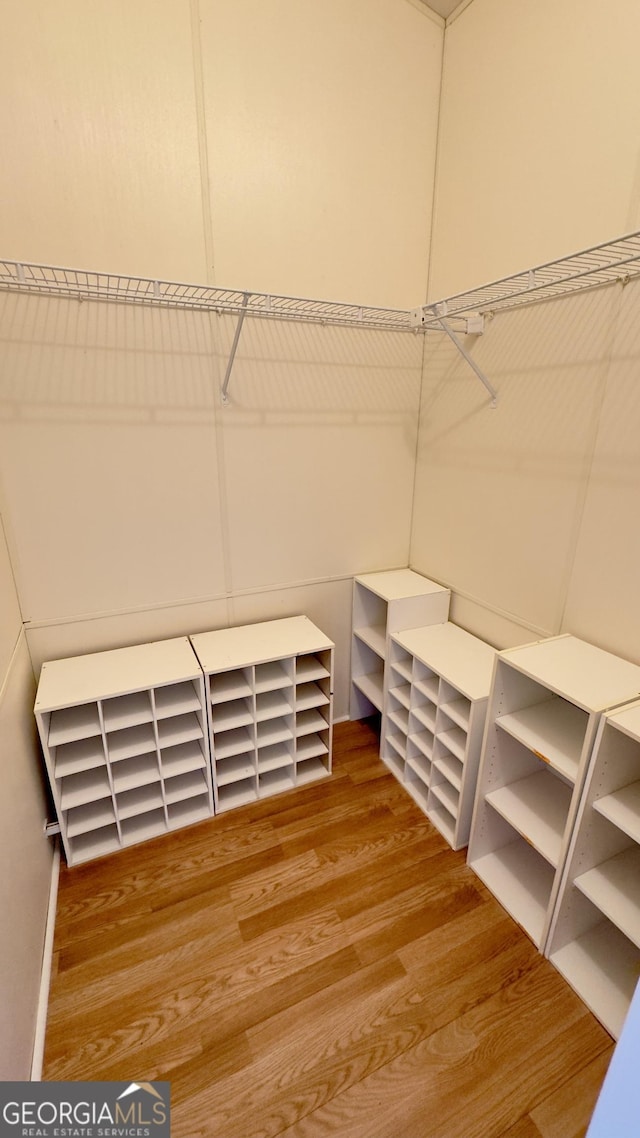 spacious closet featuring wood finished floors