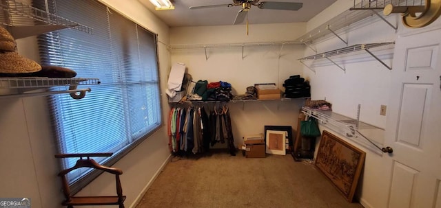 spacious closet with a ceiling fan and light colored carpet