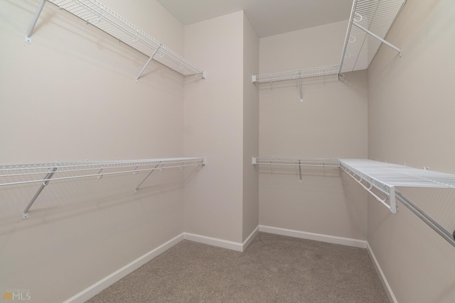 walk in closet featuring carpet