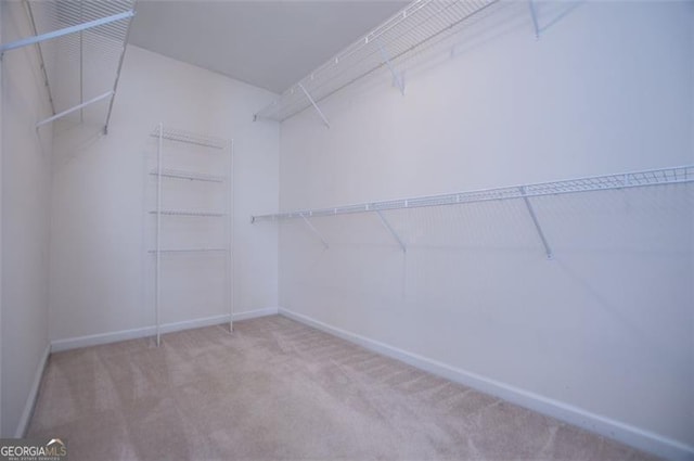 walk in closet featuring carpet