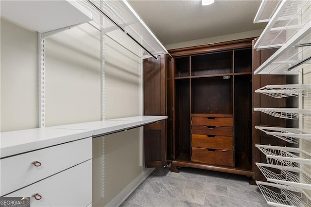 view of spacious closet