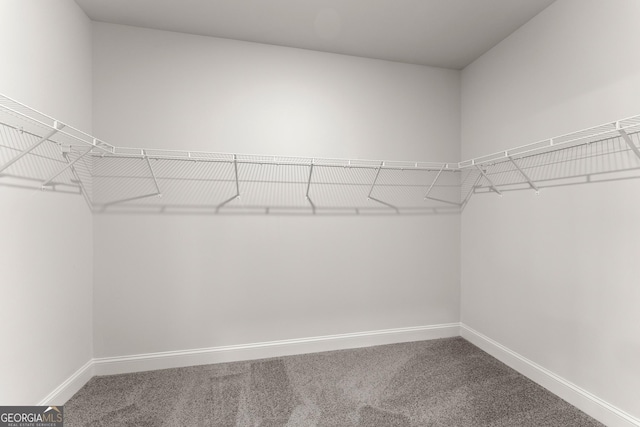 walk in closet with carpet flooring