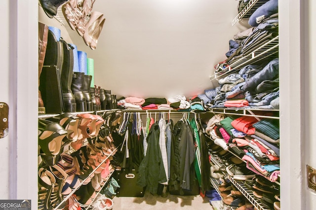 spacious closet with carpet flooring