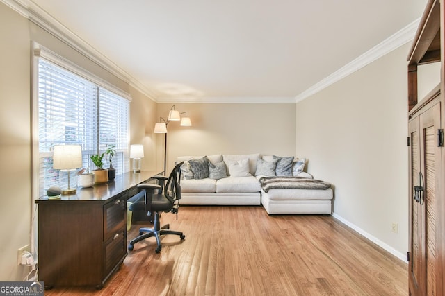 office with light wood-style flooring, ornamental molding, and baseboards