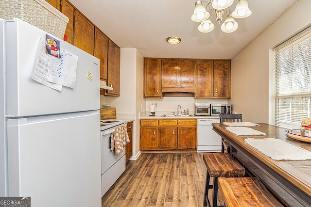 kitchen with light countertops, brown cabinetry, dark wood-type flooring, a sink, and white appliances