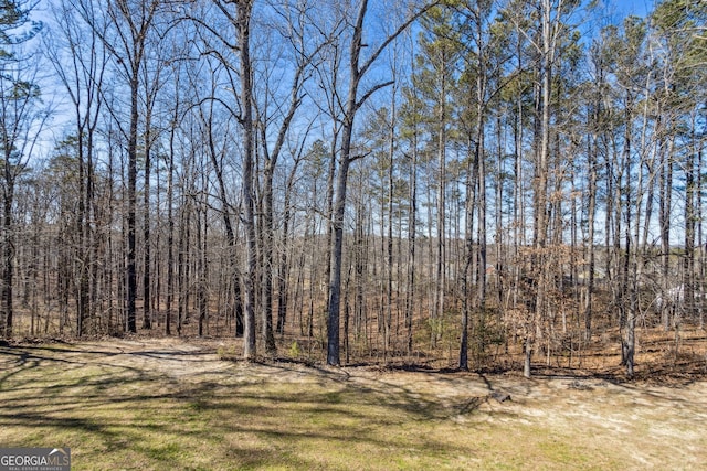 view of yard featuring a forest view