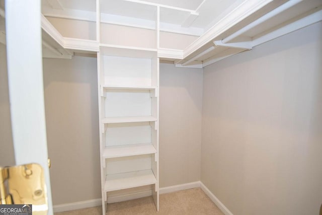 spacious closet featuring carpet