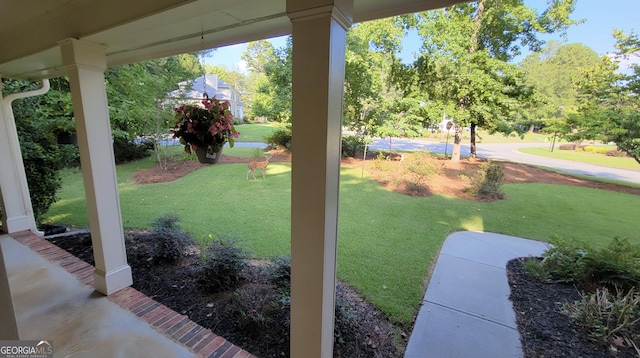 view of yard featuring a porch