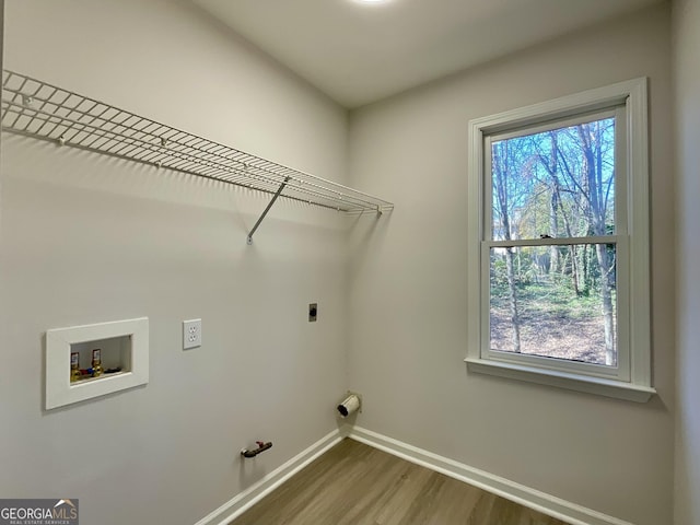 washroom featuring hookup for a washing machine, dark wood finished floors, laundry area, and plenty of natural light