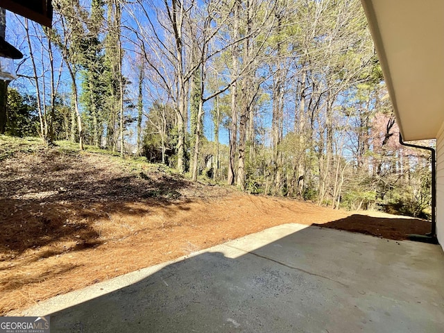 view of yard featuring a patio area