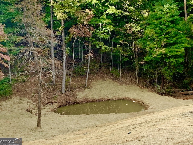 view of local wilderness with a water view and a forest view