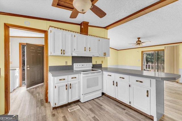 kitchen with crown molding, a peninsula, white range with electric stovetop, and white cabinetry