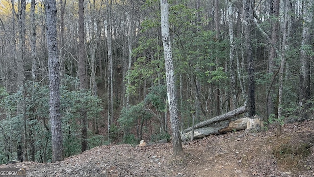 view of landscape featuring a wooded view