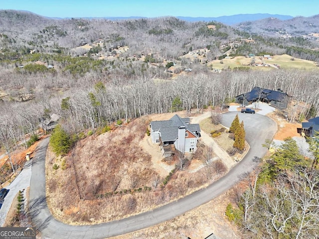 537 Mill Ridge Rd, Hiawassee, GA 30546 - bird's eye view featuring a mountain view