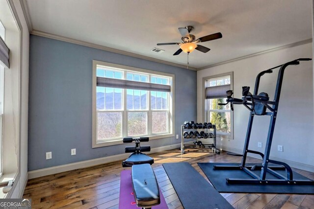 537 Mill Ridge Rd, Hiawassee, GA 30546 - workout room with wood-type flooring, visible vents, baseboards, and crown molding