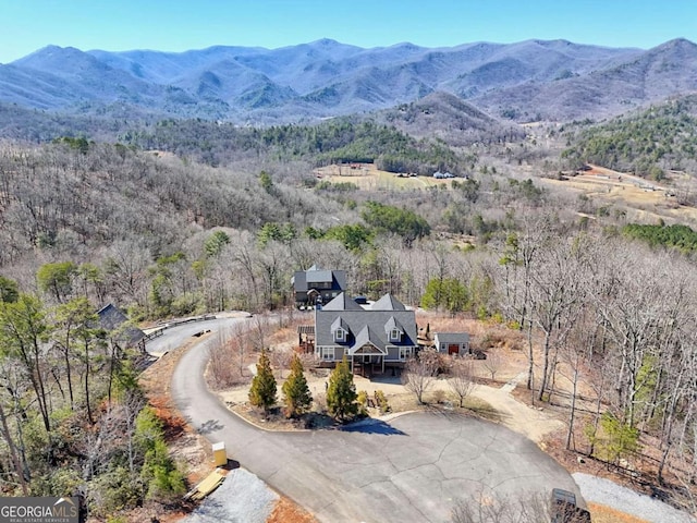 537 Mill Ridge Rd, Hiawassee, GA 30546 - property view of mountains