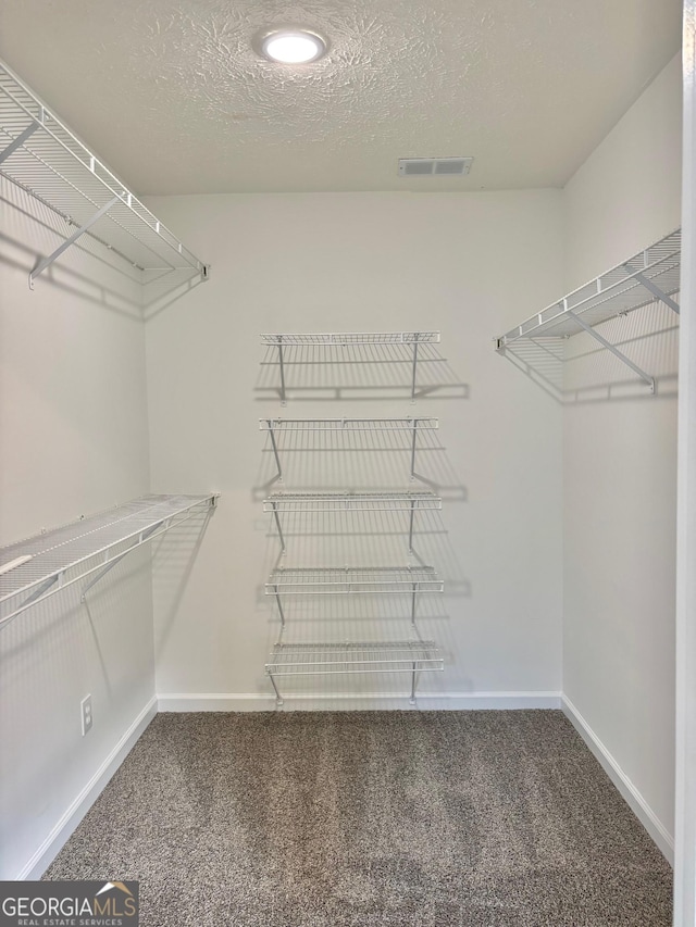 spacious closet featuring carpet and visible vents