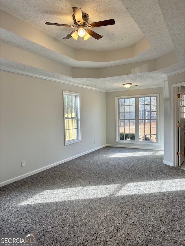 carpeted empty room with a textured ceiling, a tray ceiling, and baseboards