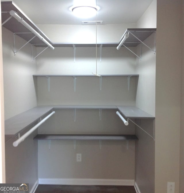 view of spacious closet