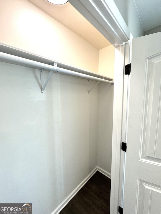 spacious closet featuring dark wood finished floors