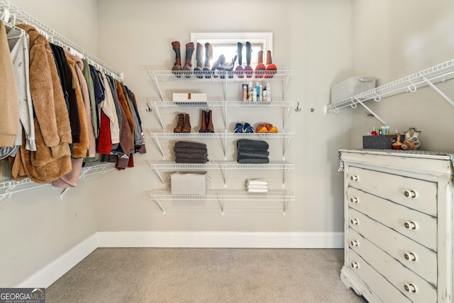 walk in closet with carpet flooring