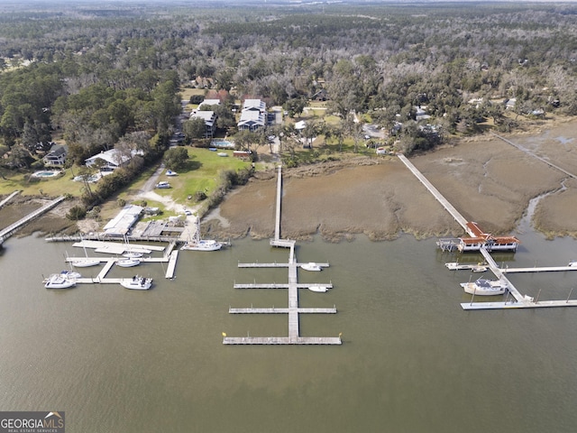 birds eye view of property with a forest view and a water view