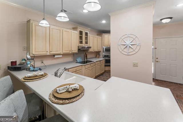 kitchen featuring ornamental molding, stainless steel appliances, light brown cabinetry, under cabinet range hood, and a sink