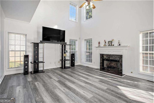 unfurnished living room featuring a healthy amount of sunlight, a fireplace, and wood finished floors